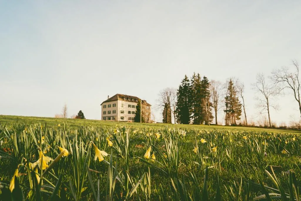 Hôtel de la Chaux-d'Abel, hotel in La Ferrière