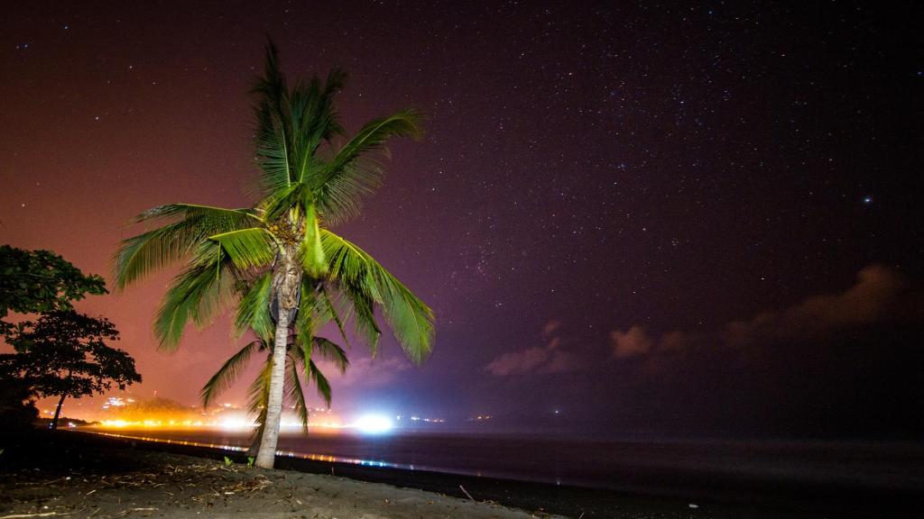 Miguel Surf Camp