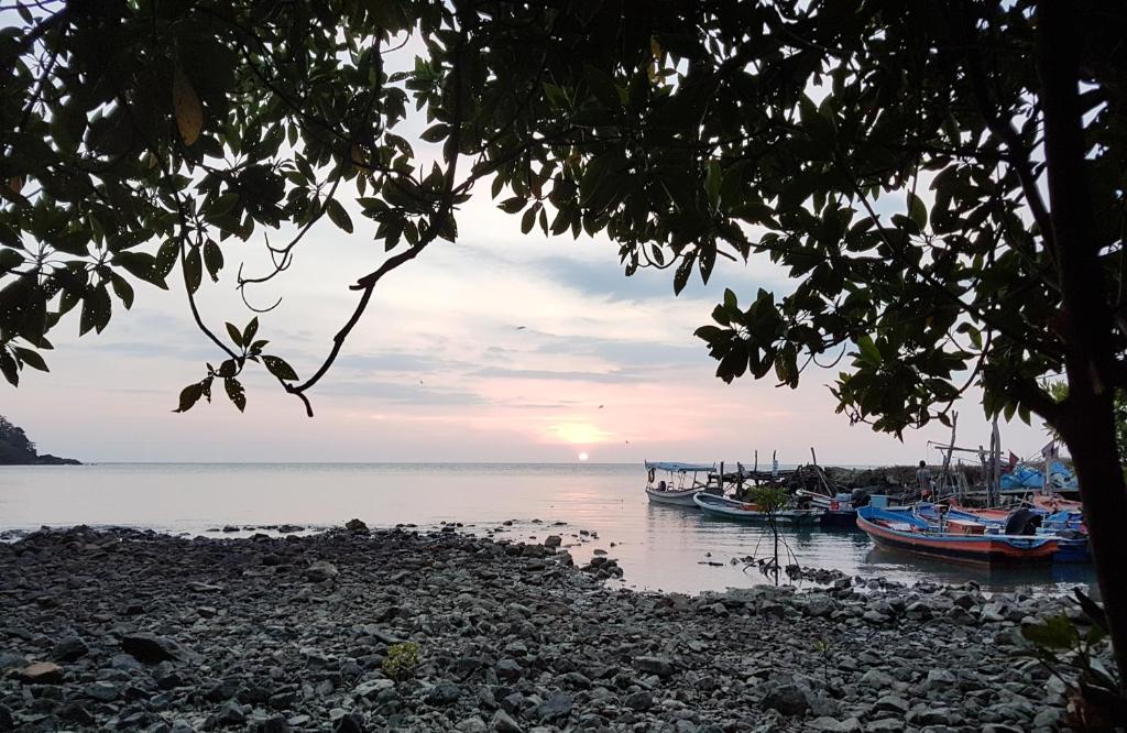 View