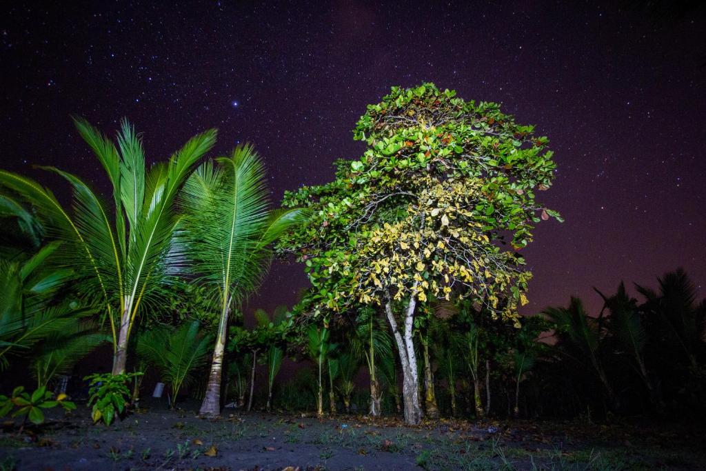 Beautiful natural surroundings