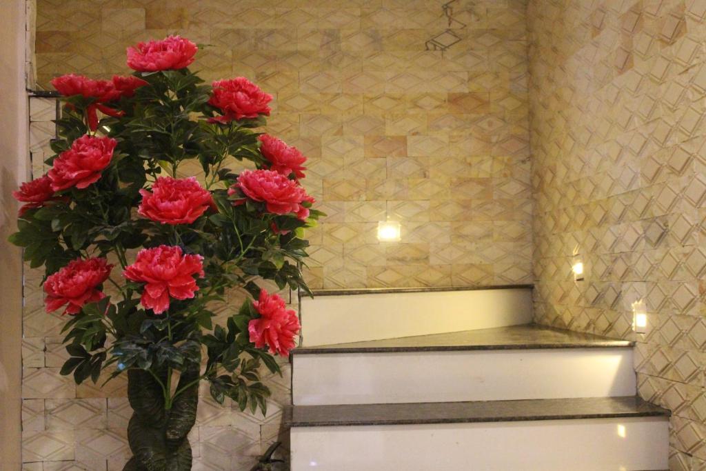 Nguyen Dang Guesthouse photo