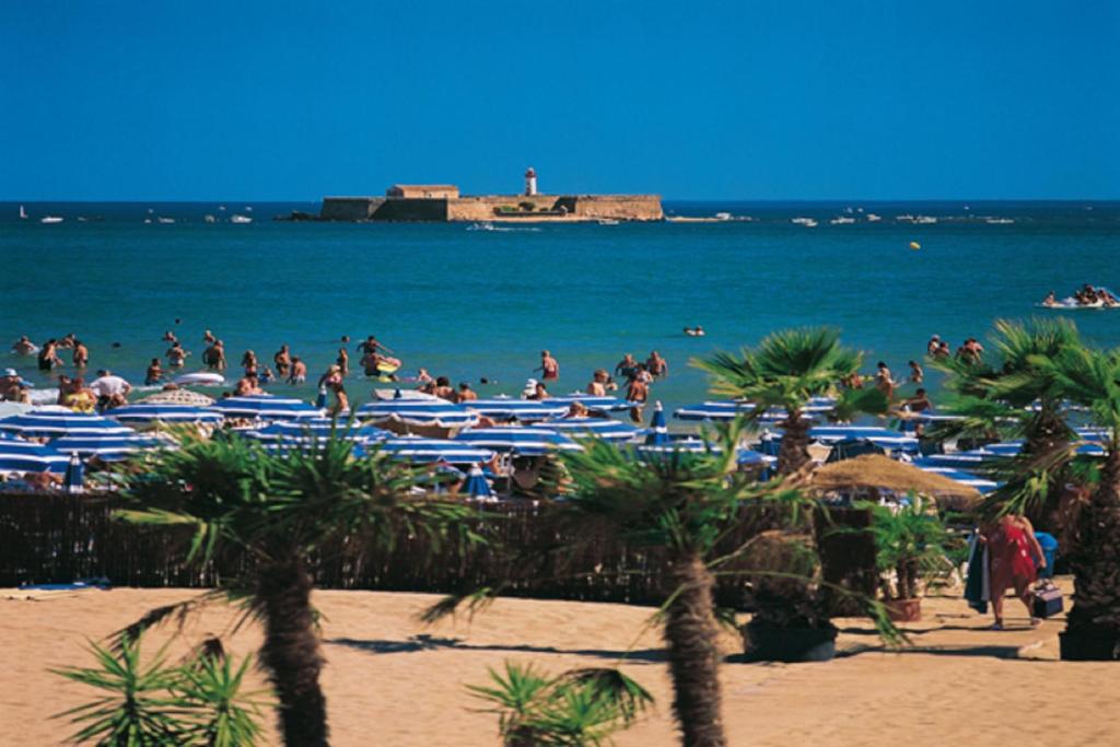 La Belle Creole photo