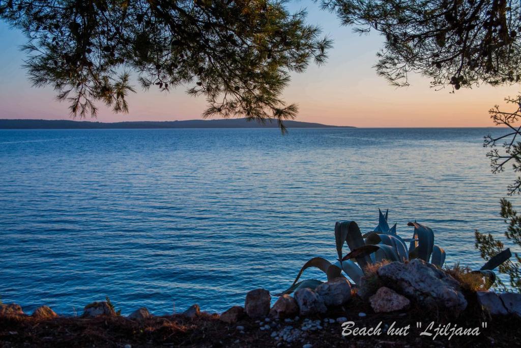 Cast Away - Eco Resort photo