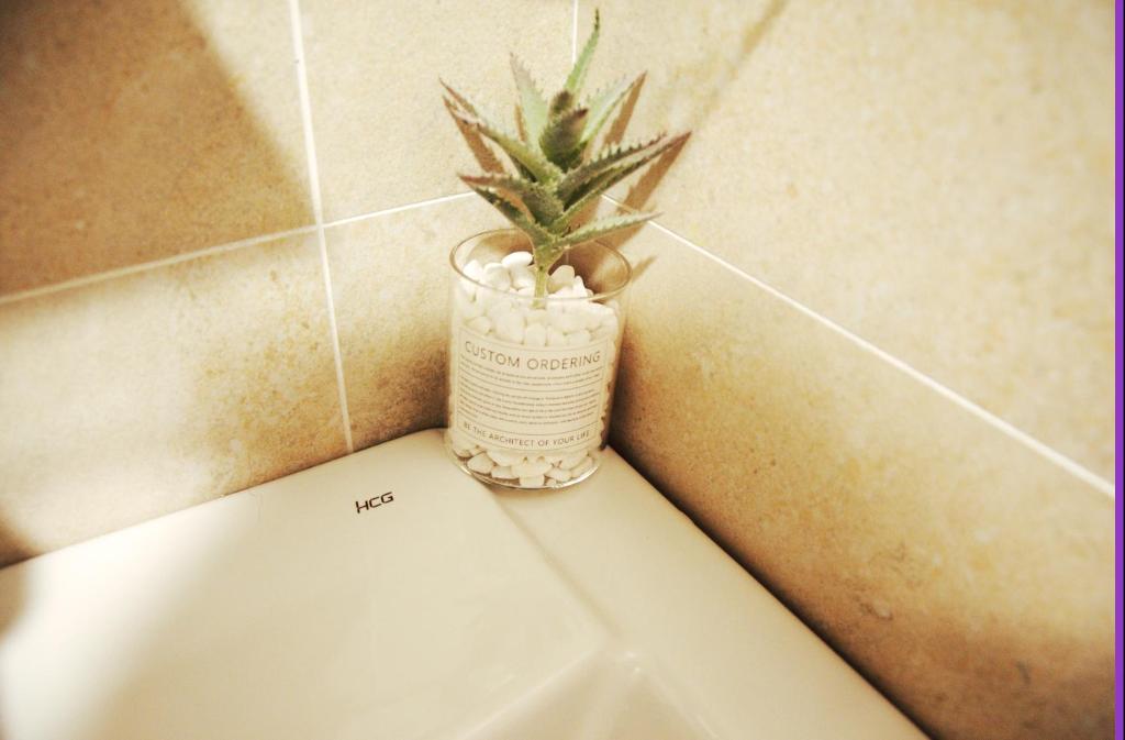 Blowing in the wind Homestay 호텔 이미지 1