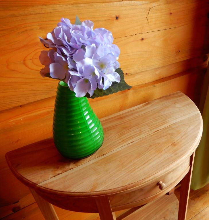 Sport-hotel Sibenicni vrch photo