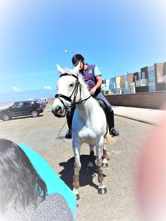 Horseback riding
