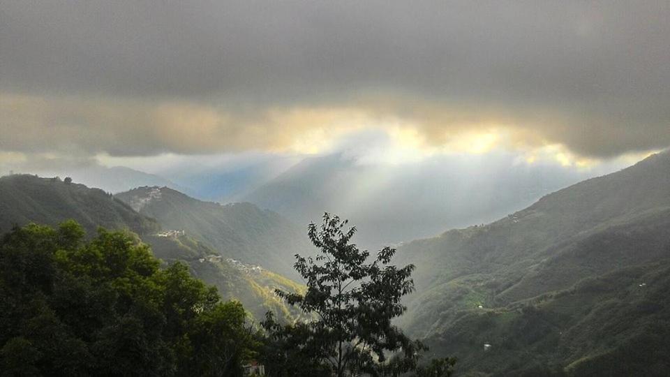View