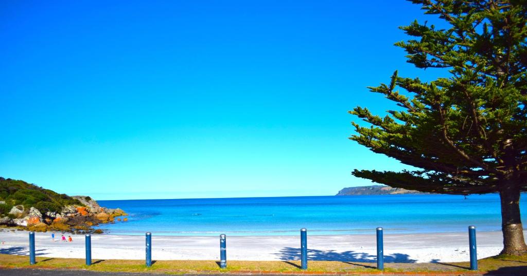 Boat Harbour Garden Cottages photo