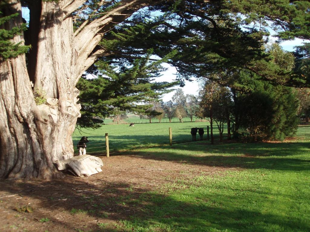 Boat Harbour Garden Cottages photo