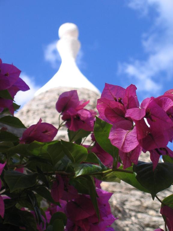 Vacanza In Puglia - 2