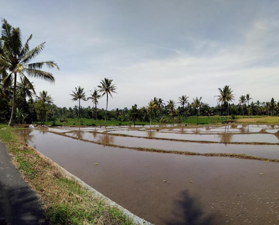 Surrounding environment