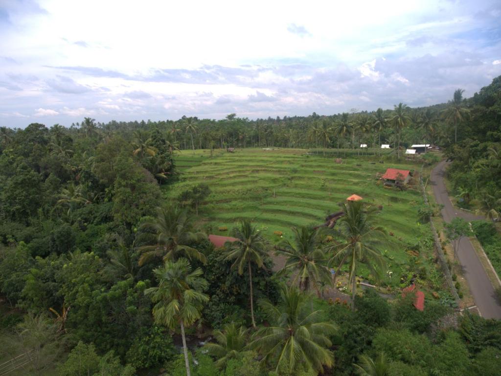 Surrounding environment