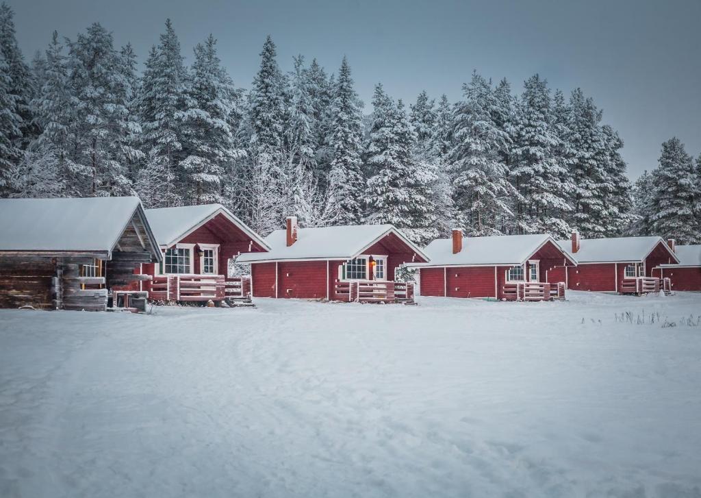 Korvala log cabins photo