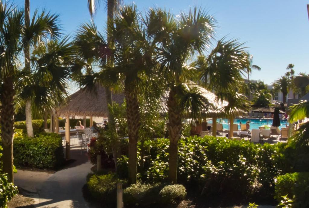 Sundial Beach Resort & Spa Photo 9