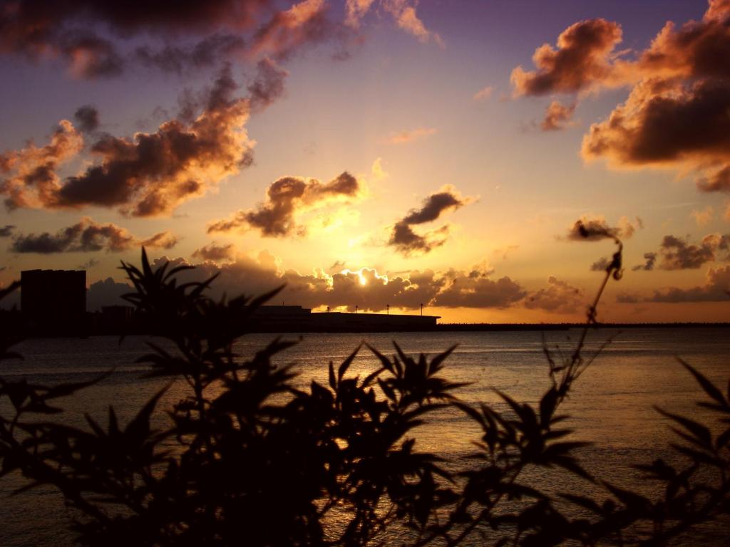 Surrounding environment