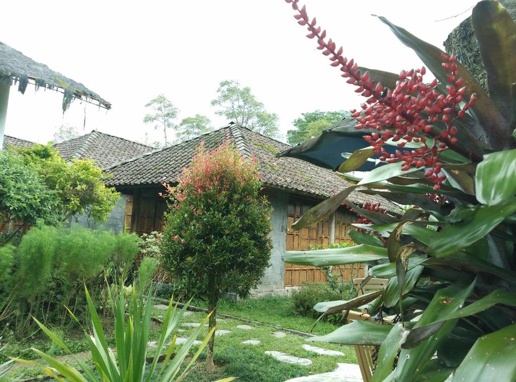 Pondok Bamboo Sendangsari