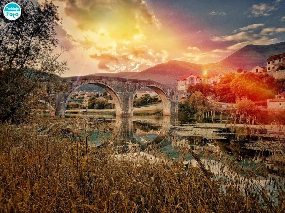 Apartman Ancora1 - 5