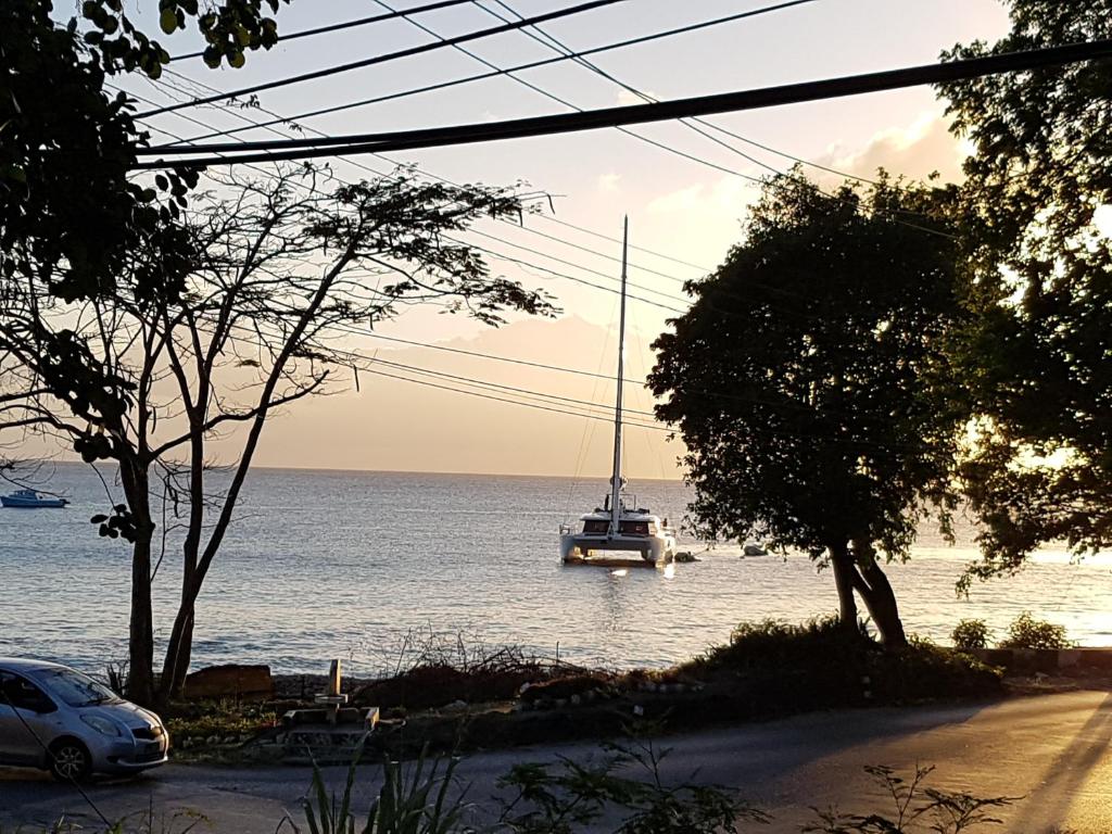 Surrounding environment