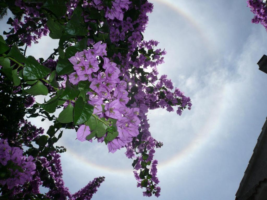 Guesthouse Palma, Mali Lošinj