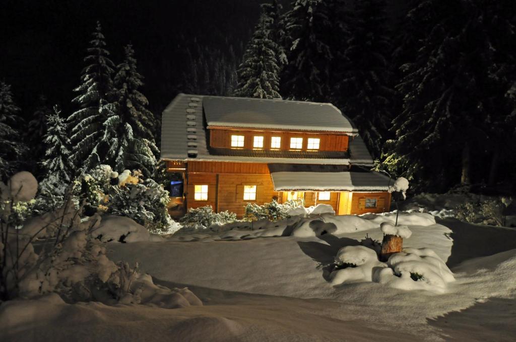 Chalet Styria - 2