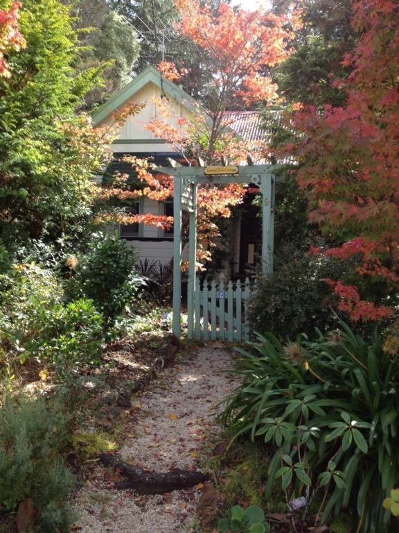 Lemon Tree Cottage, Leura