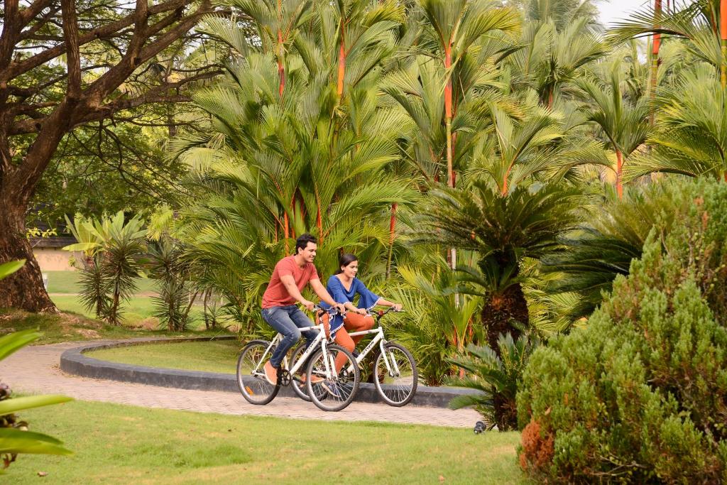 Sport és szabadidő