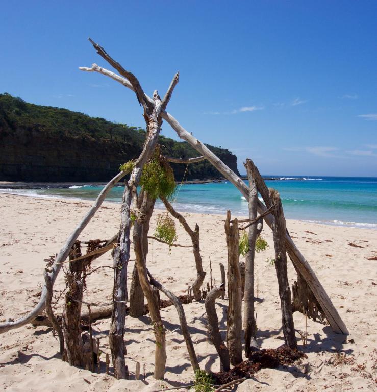 Surrounding environment