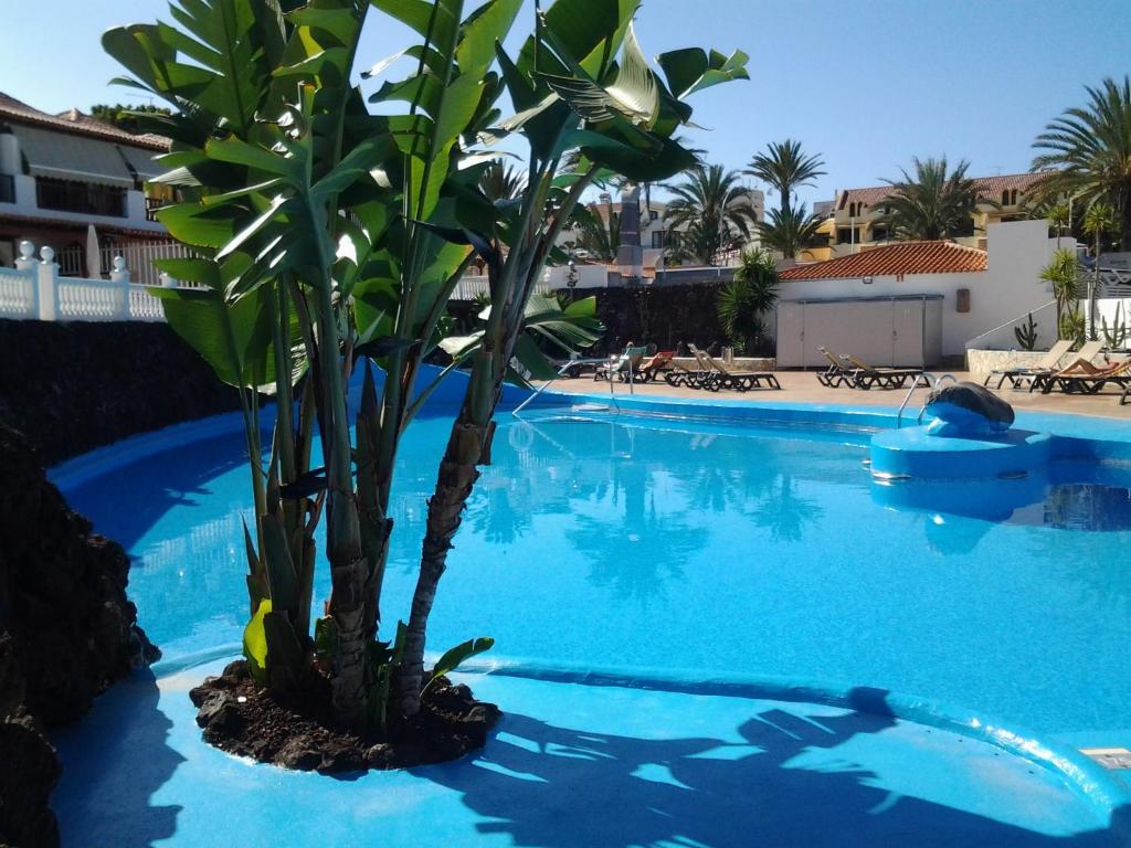 Paraiso Royal Dany &amp; Pina — Hotel in Tenerife
