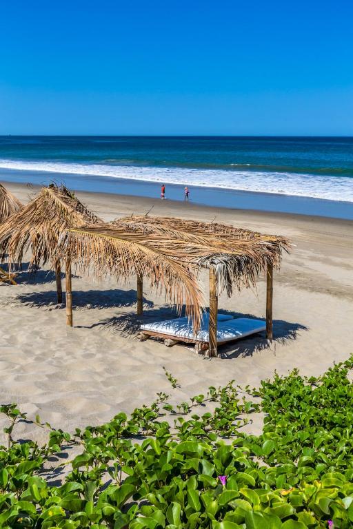 Los Cocos de Vichayito - 5
