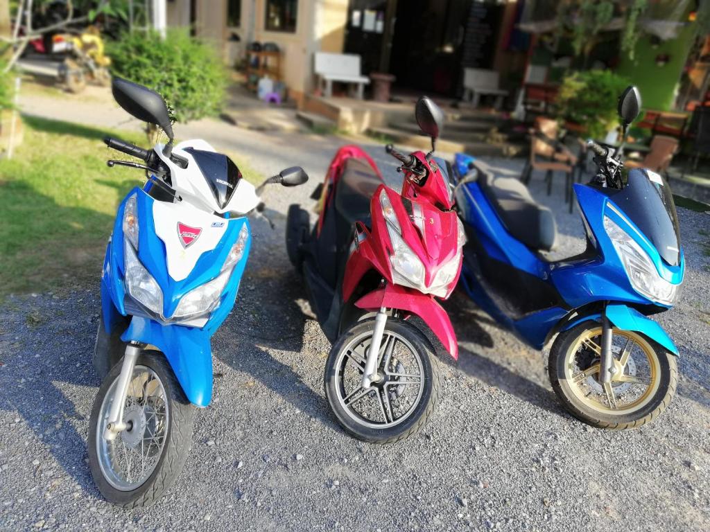 Sports and activities