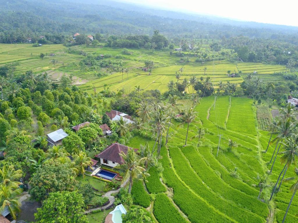 Lafyu Bali