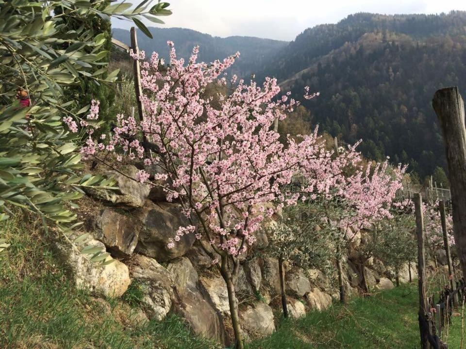 Biohof Niedereben - 4
