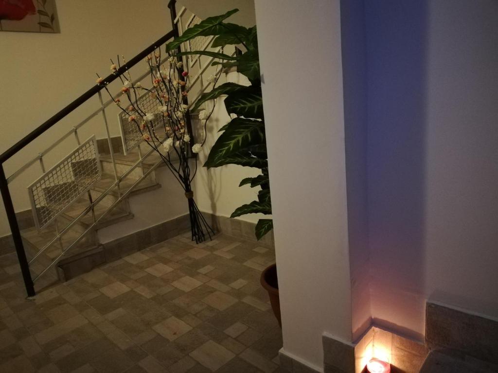 B&B Controtempo - 2