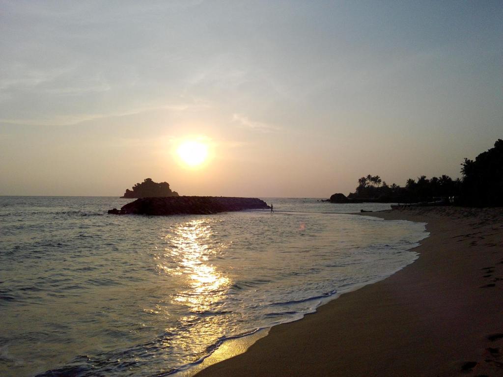 Dreams Garden Surf Lodge photo