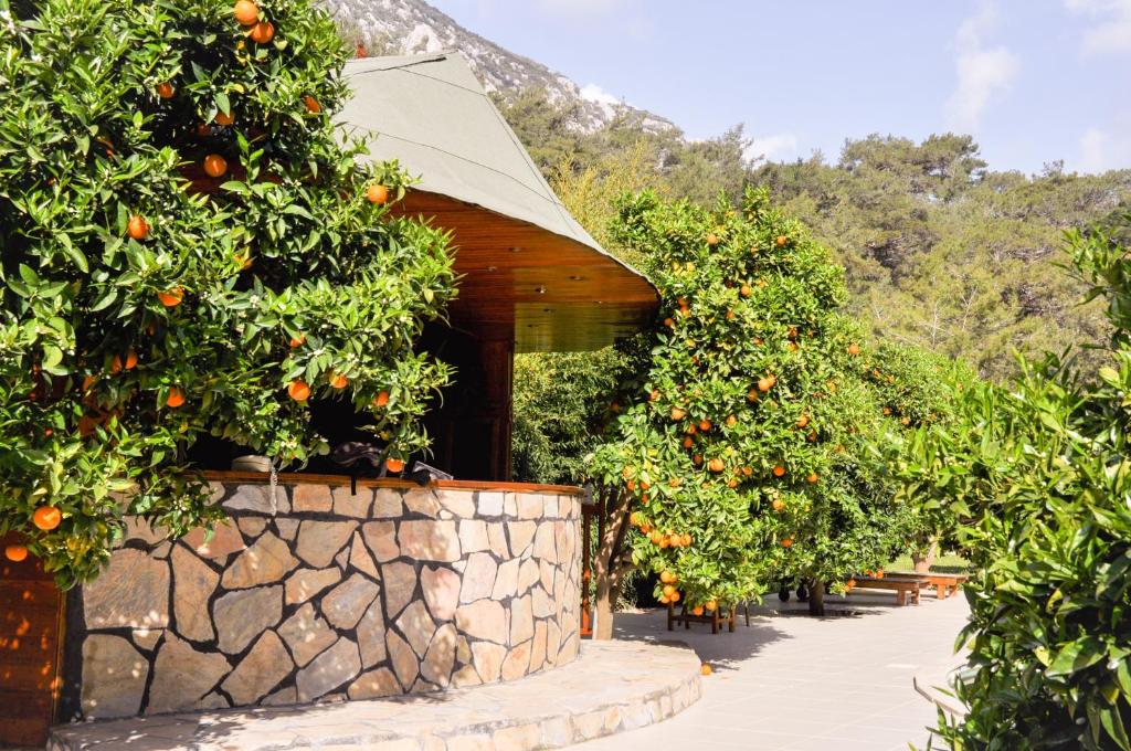 Arcadia Villas photo