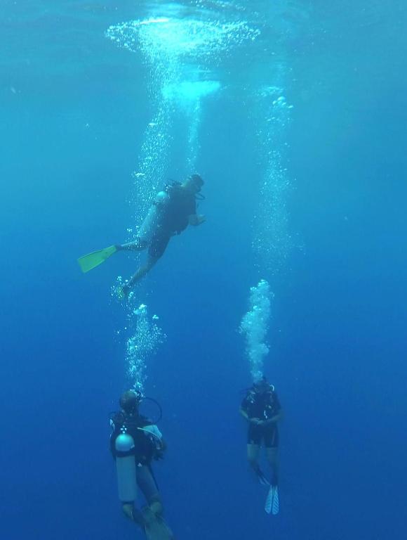 Sports and activities