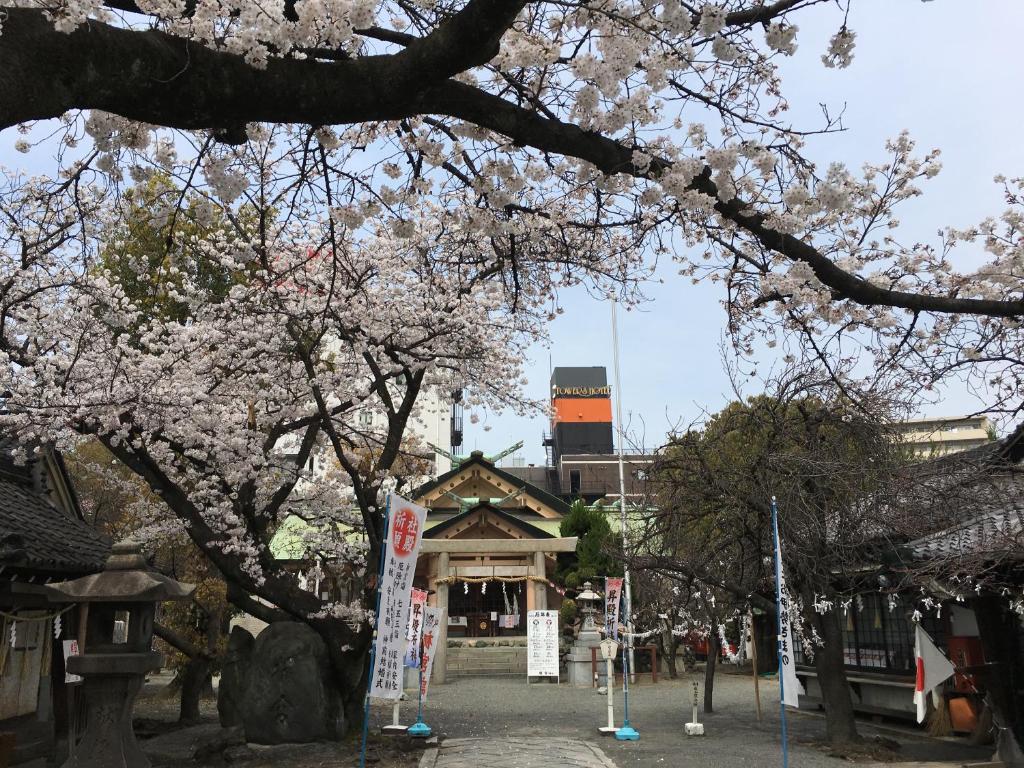 Nearby attraction
