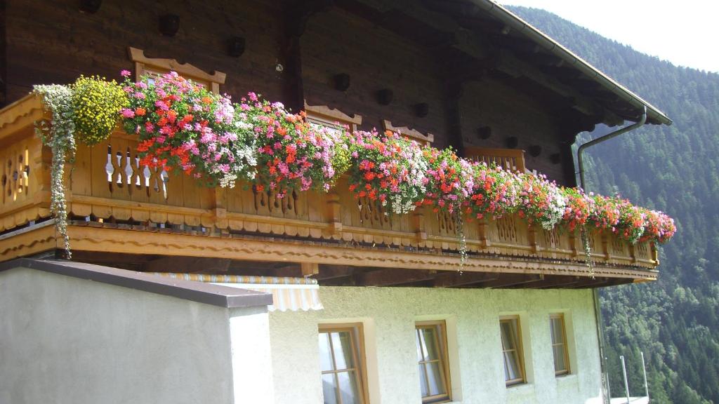 Ferienwohnungen Niederarnigerhof Familie Bauernfeind - 5