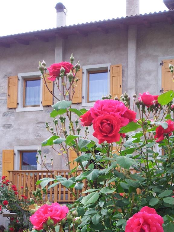 Ferienhaus Irene, Fiave - 5