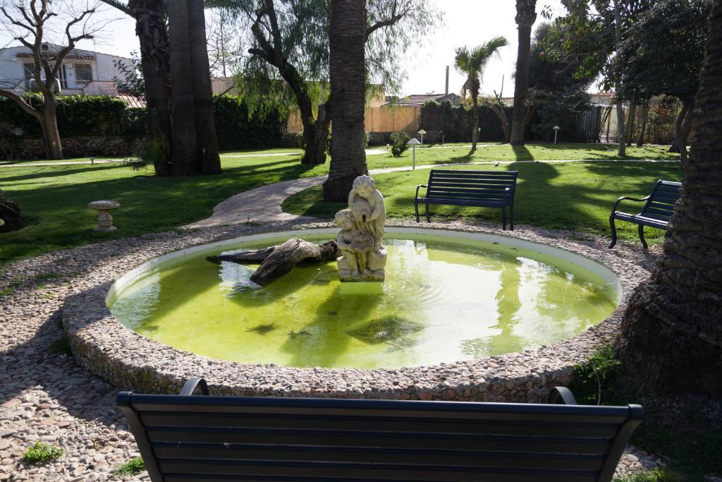 Garden