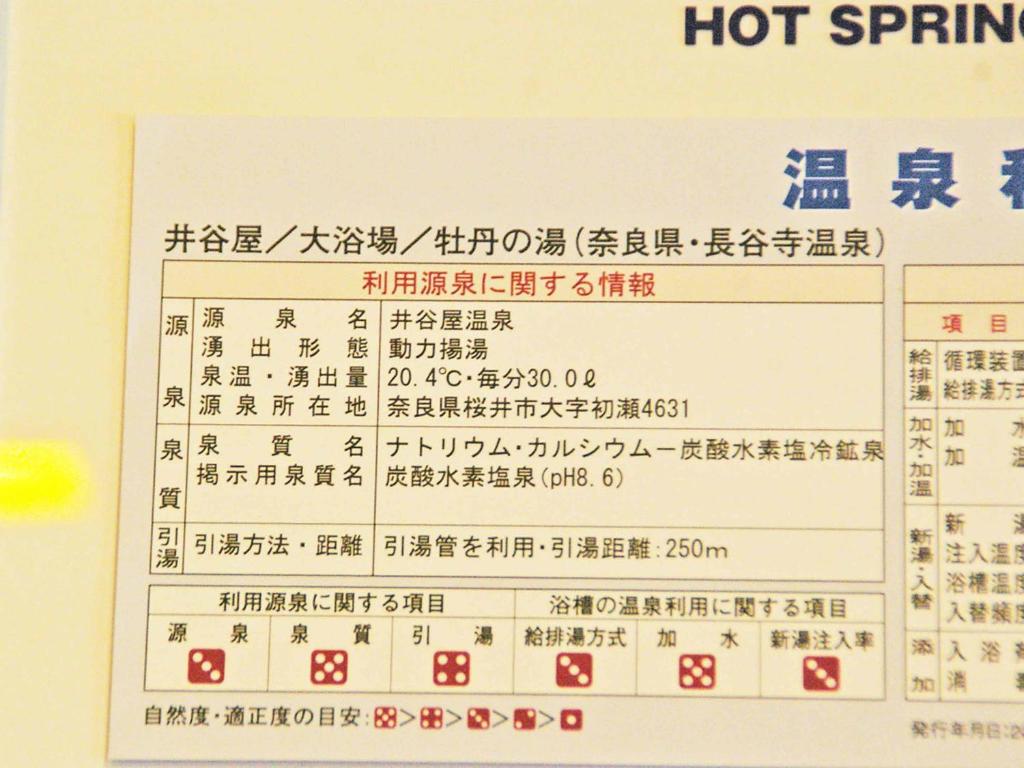 Hot spring bath