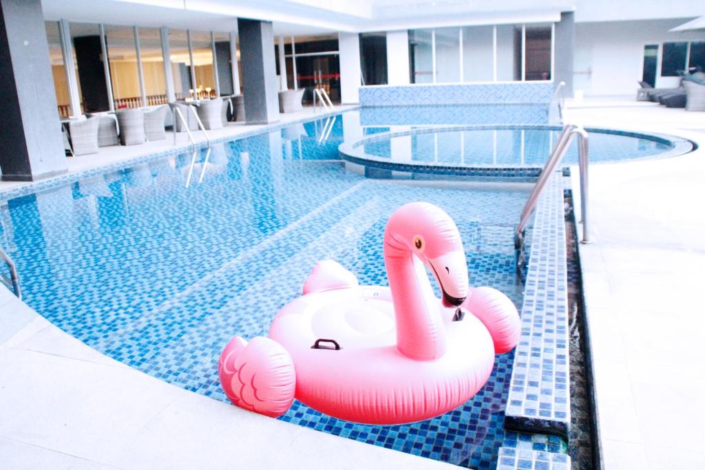 Swimming pool