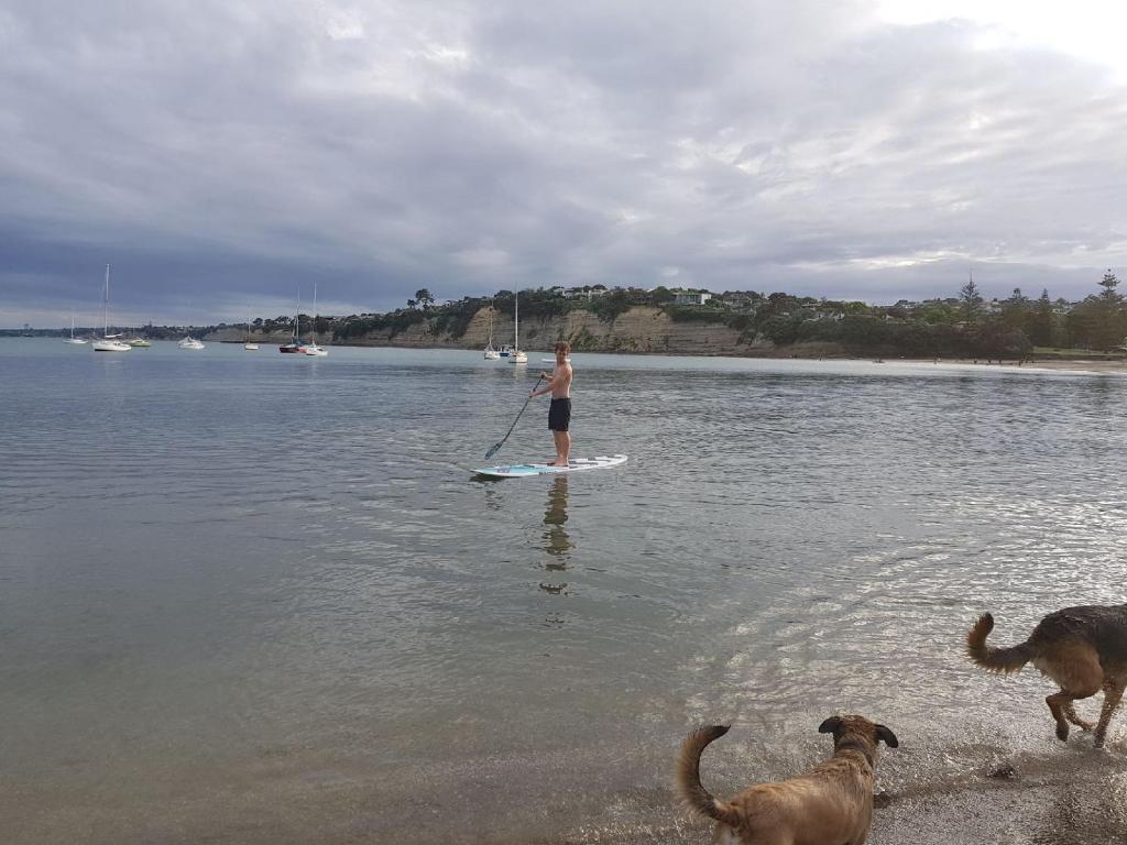 Close to beach photo