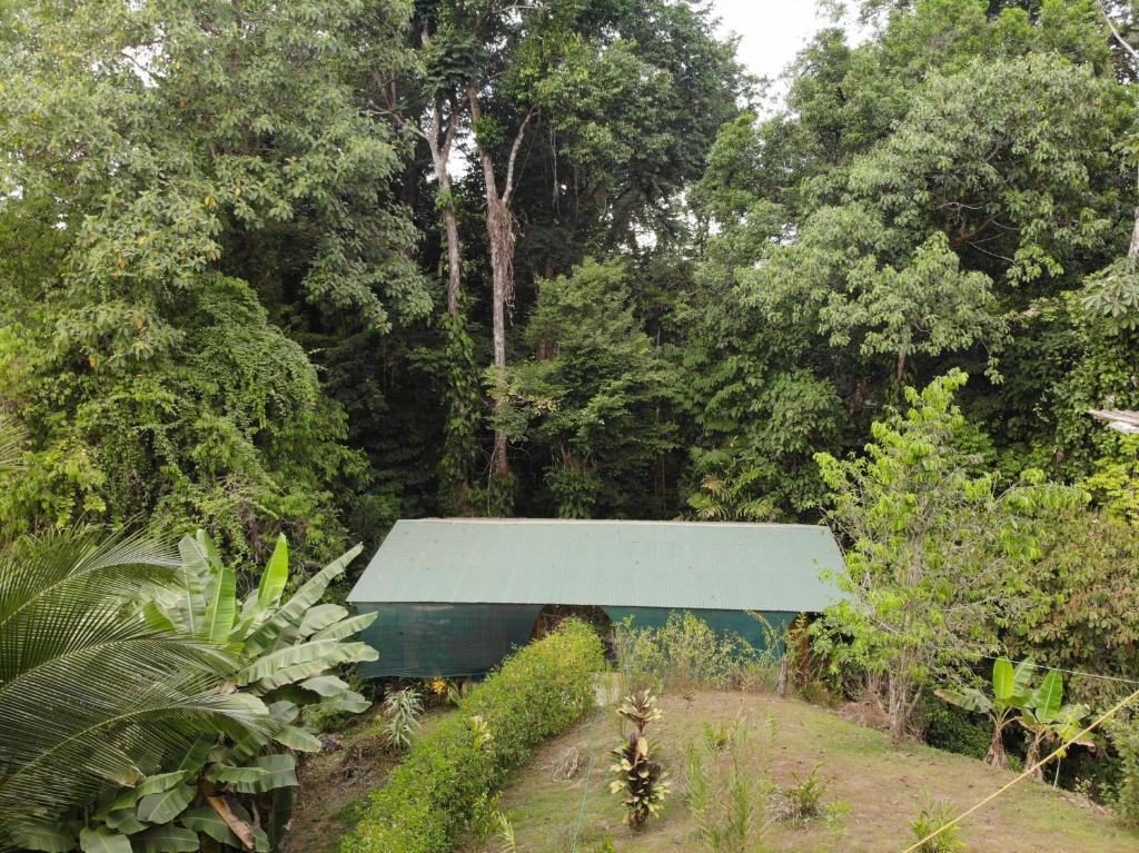 Surrounding environment