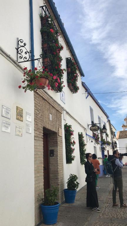 Casa longa photo