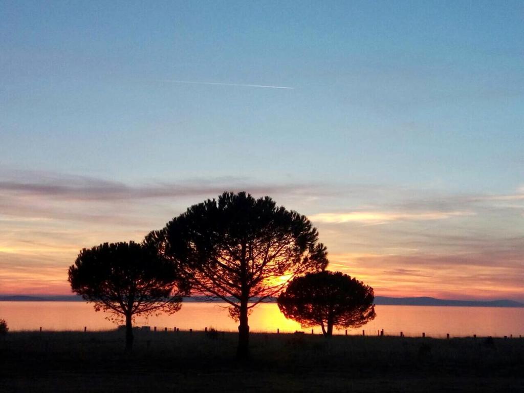 Marija Apartment, Nin