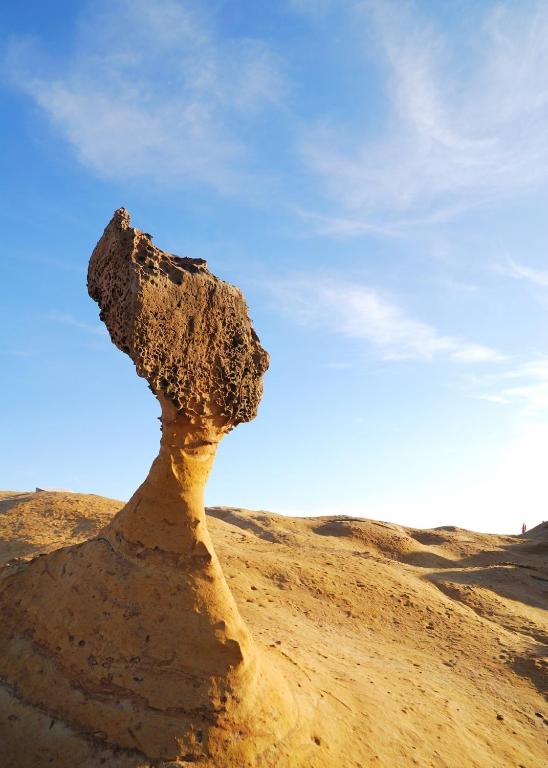 Atracţii în apropiere