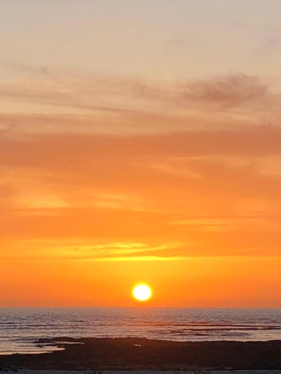 Bluesun - 2