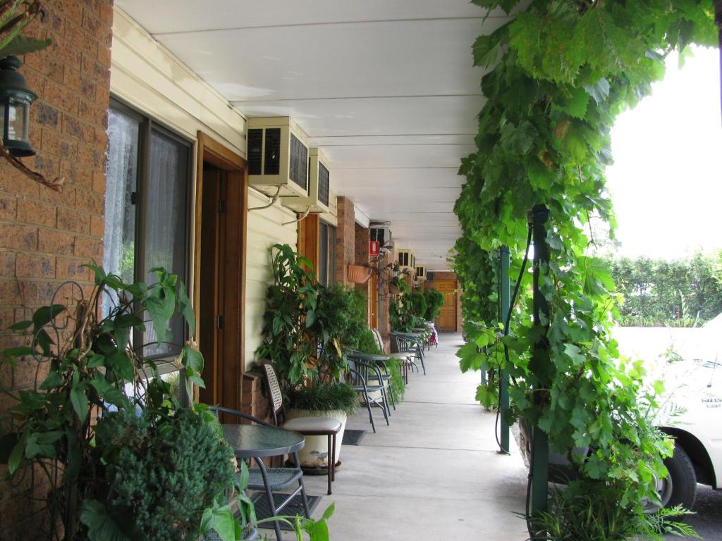 The Wayfarer Motel photo