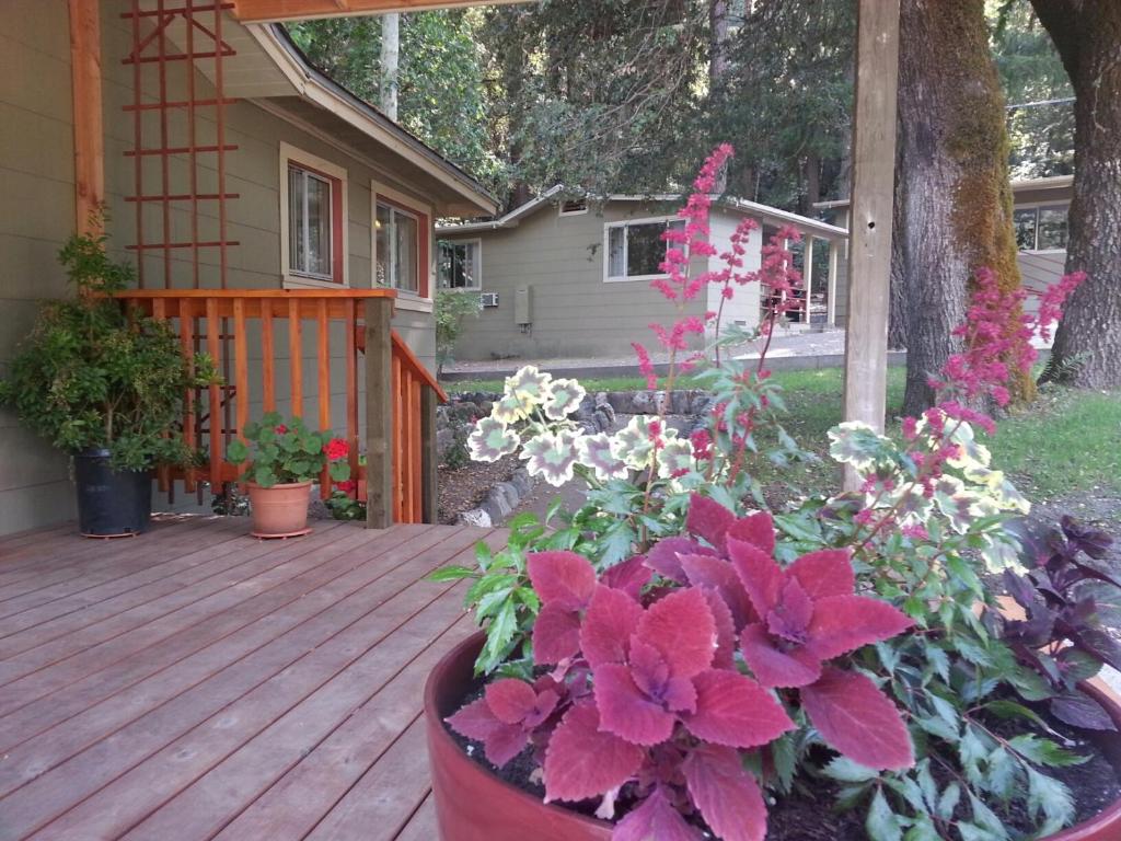 China Creek Cottages — Hotel in Willow Creek (CA)